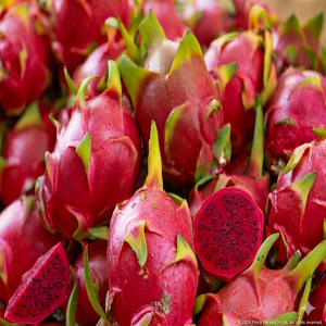 Dragon Fruit – ড্রাগন ফল O’Natural ১০০ কেজি (৫ ক্যারেট) (Copy)
